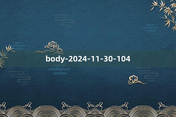 body-2024-11-30-104