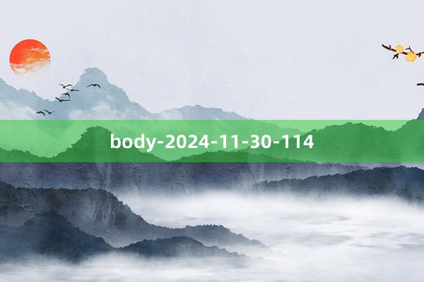 body-2024-11-30-114