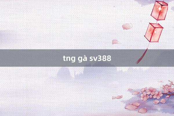 tng gà sv388