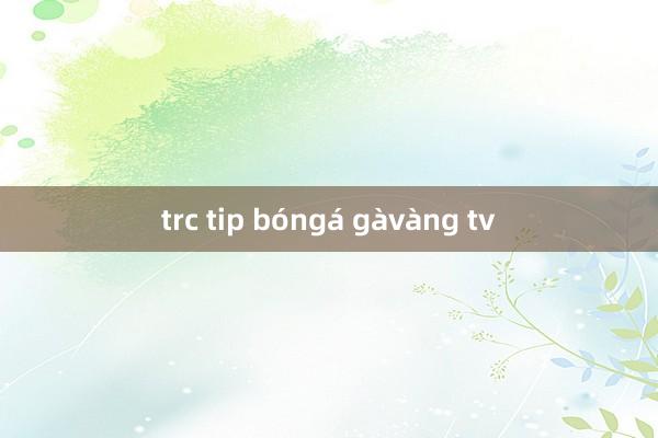 trc tip bóngá gàvàng tv