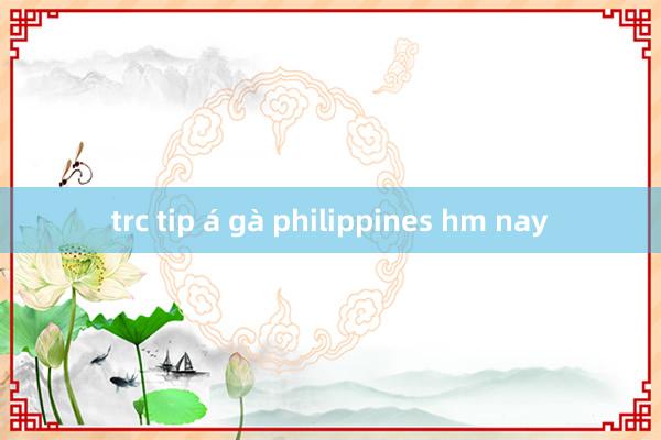 trc tip á gà philippines hm nay