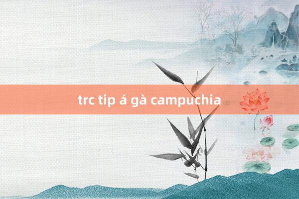 trc tip á gà campuchia