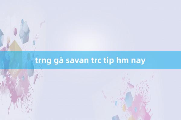 trng gà savan trc tip hm nay