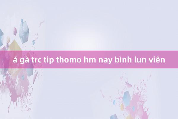 á gà trc tip thomo hm nay bình lun viên