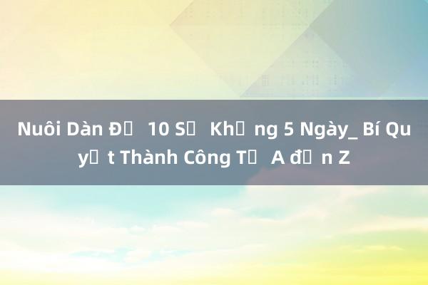 Nuôi Dàn Để 10 Số Khủng 5 Ngày_ Bí Quyết Thành Công Từ A đến Z