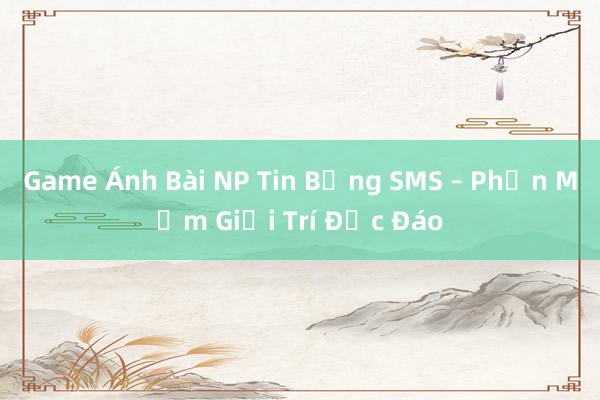 Game Ánh Bài NP Tin Bằng SMS – Phần Mềm Giải Trí Độc Đáo