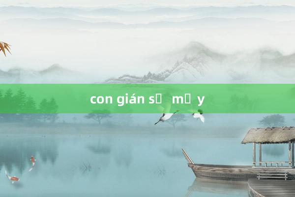 con gián số mấy