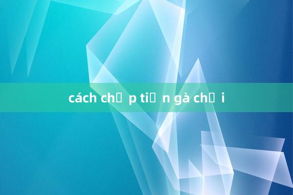 cách chấp tiền gà chọi