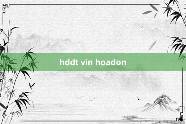 hddt vin hoadon