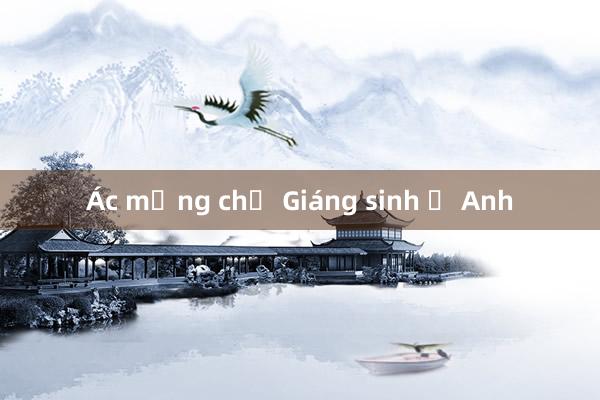 Ác mộng chợ Giáng sinh ở Anh