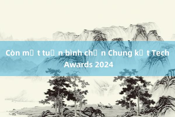 Còn một tuần bình chọn Chung kết Tech Awards 2024