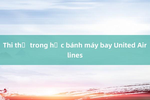 Thi thể trong hốc bánh máy bay United Airlines