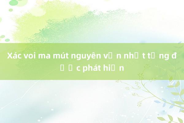 Xác voi ma mút nguyên vẹn nhất từng được phát hiện