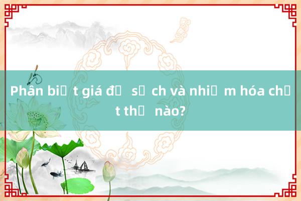 Phân biệt giá đỗ sạch và nhiễm hóa chất thế nào?