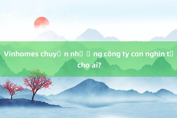 Vinhomes chuyển nhượng công ty con nghìn tỷ cho ai?